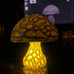 1000076537.jpg abstract mushroom lamp
