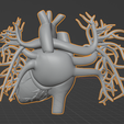 9.png 3D Model of Heart with Vessels
