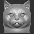 2.jpg British Shorthair cat head for 3D printing