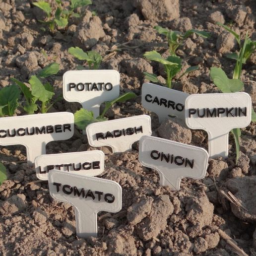 25f71a5dbb12d2a57e39eb880d844253_display_large.JPG Gemüse Schilder/Etiketten