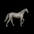 22.jpg Thoroughbred Horse model 3D print model