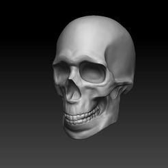 1.jpg Fichier STL gratuit Sculpture de la vitesse du crâne・Plan imprimable en 3D à télécharger