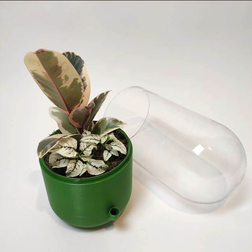 317318293_442216281417459_5641337625950821305_n.jpg Campana Capsularium Ikea