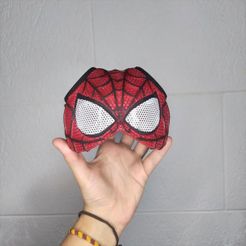 SPIDER CAT PETER PARKER - Mask