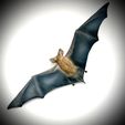 BAT-3D-PRINT-3.jpeg BAT FLYING