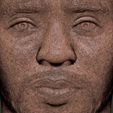 28.jpg Chad Boseman Black Panther bust 3D printing ready stl obj formats