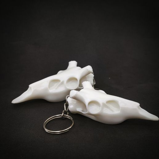 IMG_20241018_005032.jpg Halloween Deer Skull Keychain