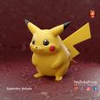 Bean-pikachu-1-copy.jpg Fat Gen 1 Pikachu figure pre-supported