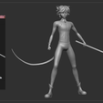Screenshot-2025-06-27-230000.png Cat Noir Fixed