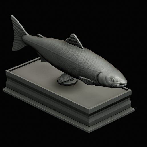 Salmon-statue-box-1-40.png fish sculpture of a Atlantic salmon / salmo salar with storage space / for 3d printing