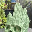 IMG_1501.jpg Groot skull planter