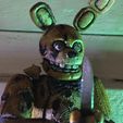 IMG_4380.jpg Spring Bonnie FNAF Movie Articulated Figure