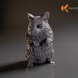 ham01.jpg hamster 3d printed model