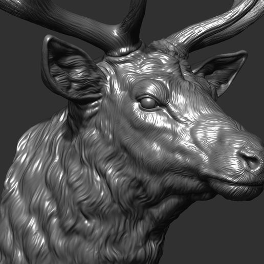 24.jpg OBJ file Deer head・3D printing design to download, guninnik81