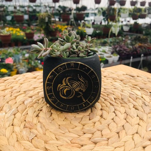 Zodiac Capricorn Planter Pot 3D model
