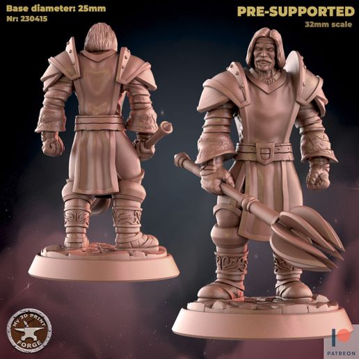 230415-Paladin_Commander.jpg Паладин Командор Две модели