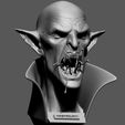 05.jpg VAMPIRE BUST