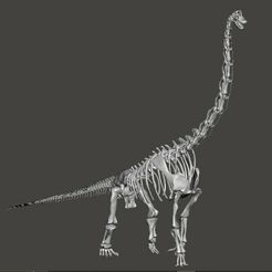 giraffatitan1.jpg Fichier STL Squelette complet de Brachiosaurus / Giraffatitan・Plan à imprimer en 3D à télécharger, Lucas_Kranz