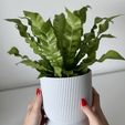 minimalist-3D-printed-planter-pot-self-watering-drip-tray.jpg VLNKA planter with a drip tray