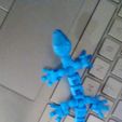 IMG_20220909_071153_712.jpg robot gecko