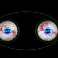 3.png Free rigged eyeballs of the lost world