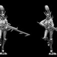 Cyrnes_Demonist_pose03.jpg DEMONISTS - BEYOND VOID - FUTURISTIC SPACE ELVES