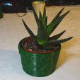 Round-button-plant-pot-dark-green,-wide.jpg Round nested button pattern flower plant pot