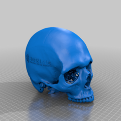 69188648-5a22-4c64-9322-1b649c3e5175.png Fichier 3D gratuit HARZ Labs Scull Алёшка・Objet imprimable en 3D à télécharger