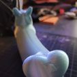 20220129_172220.jpg HeartbuttCorgi v.2.2