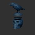 Shop4.jpg Skull with raven eyes closed - hollow inside