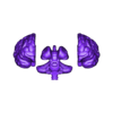 whole human brain_obj.obj 3D Model of Brain with Cerebellum and Brain Stem
