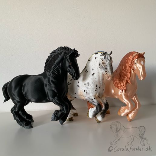 Bruce - Playful Draft Stallion