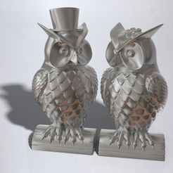 pair_display_large.jpg His and Her Owls