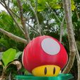 20230330_143328.jpg Mario Mushroom Can Cooler