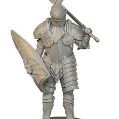 155_Knight-with-Sword-and-shield.jpg Guard with sword and shield