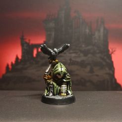 20231209_205921.jpg The Falconer - Pose 01 - Darkest Dungeon Inspired Hero for the Boardgame