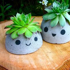ccdb1b368037f2683ed1377be8eb949c.jpg STL file smile planter・3D printer design to download