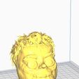 Captura-de-Pantalla-2024-02-10-a-las-10.57.55.jpg HEAD AYUWOKI 3D PRINT STL FILE MICHAEL JACKSON MEME HEAD 100 MM EASY PRINT GRINDERKING