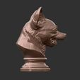 CHIHUHUA-BUST-6.jpg CHIHUHUA BUST