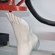 3.jpg Human foot