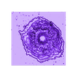 AG Carinae.stl AG CARINAE 3D software analysis