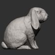 rabbit-ram9.jpg Rabbit ram 3D print model