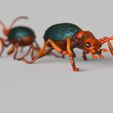 Bomberdier-beetle.1894.jpg Bombardier beetles