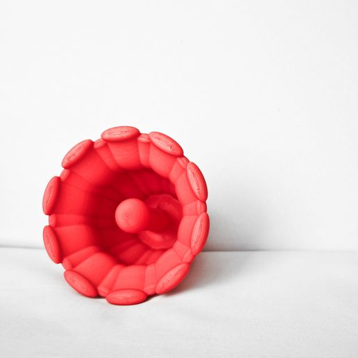 1756564041342.jpg Coral cruel