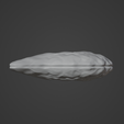 oyster-shell-2-image-4.png Oceanic Gem (oyster shell 2)