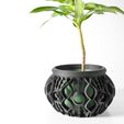 DSC04308.jpg The Lyren Planter Pot & Orchid Pot Hybrid with Drainage Tray: Modern and Unique Home Decor for Plants and Succulents