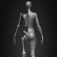 Female-Human-Skeleton-3D-Model-sculpted-by-Yacine-BRINIS-012.jpg Highly Detailed Human Skeleton (Female)