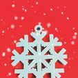 IMG_20201103_153937.jpg Christmas Snowflake Decoration