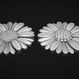 07.jpg Fleurs de marguerite bas relief modèle 3D