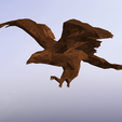 Screenshot_3.png Flying Eagle - Low Poly
